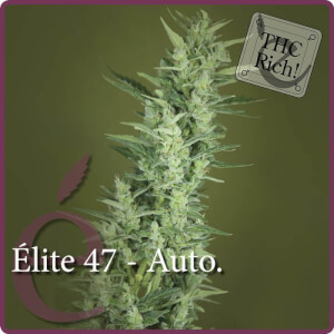 Elite 47 Auto