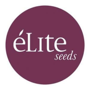 Elite Seeds Fem promo