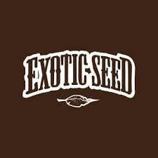 Exotic Seeds REG 3 semillas PROMO
