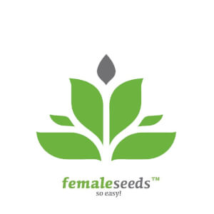 Female Seeds Promo 1 feminised seed