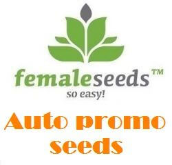 Female Seeds automatisch Werbeprodukt