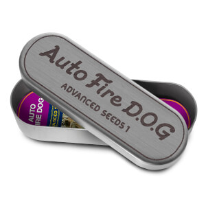 Fire Dog Auto