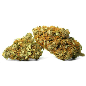 Alcohol de Cereal 1lt Licores Y Uso Medicinal - El Alquimista - Growshop