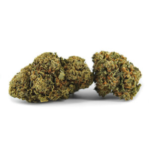 Flors de CBD Devil Fruit Greenhouse