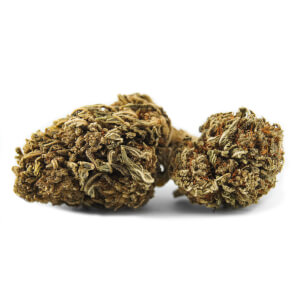 Fleurs de CBD Jack Herer - Serre