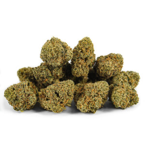 Mango Kush Indoor CBD-Blüten