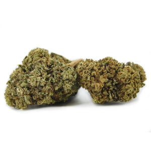 Fleurs de CBD Monster Kush - Serre