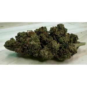 Flores de CBD NY Diesel Greenhouse