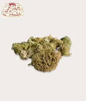 CBD-Popcorn, süße Mandarinen-Gewächshausblumen