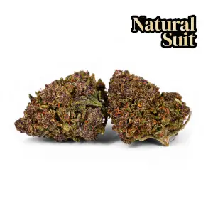 Purple Queen CBD-Blumen im Freien