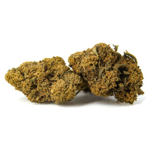 Outdoor Sourdiesel CBD-Blüten