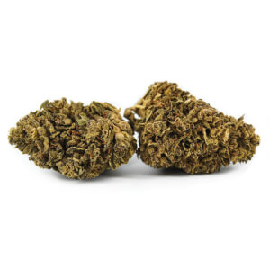 Flors de CBD White Widow Outdoor - New Version