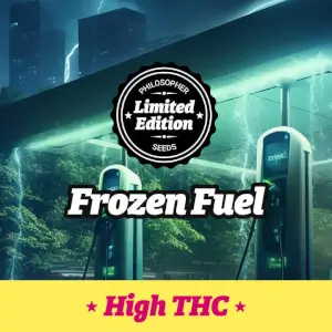 Frozen Fuel 