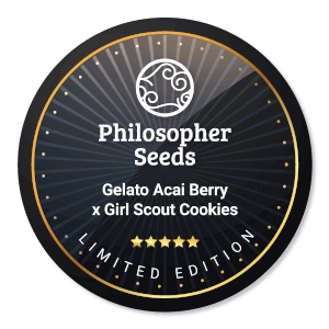 Gelato x Girl Scout Cookies