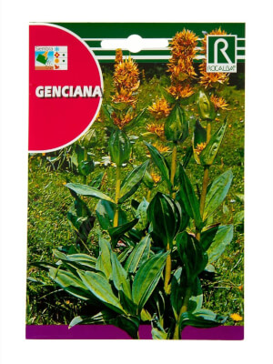 Genciana - Rocalba