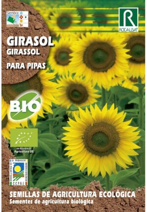 Girasol Rocalba Bio
