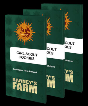 Girl Scout Cookies