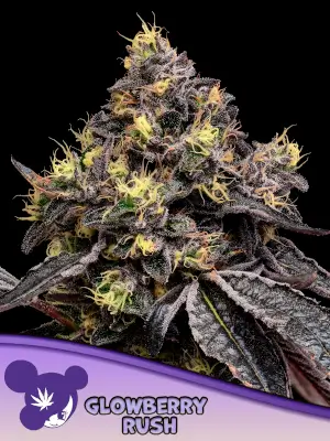 Glowberry Rush