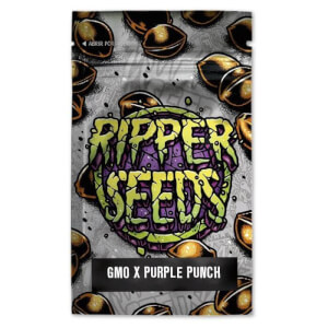 GMO x Purple Punch