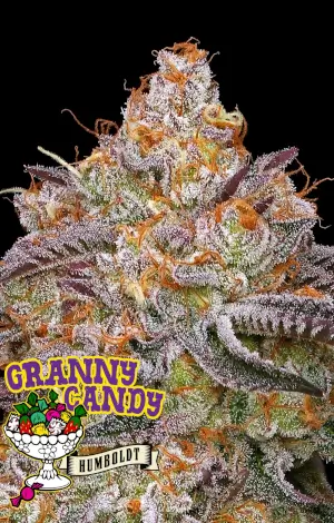 Granny Candy