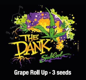 Grape Roll Up Reg Subcool The Dank