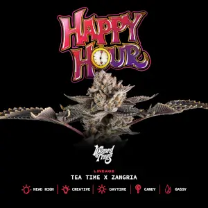 Happy Hour