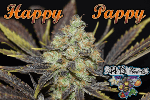 Happy Pappy