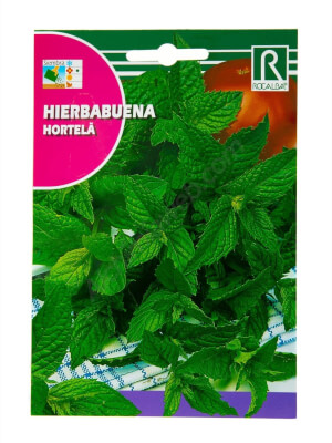 Menthe de Rocalba 