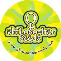 Juanita x Lavender Test Line de Philosopher Seeds