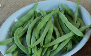 Haricot vert - Refardes