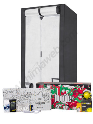 Economic LED Cultivation Kit with 100x100x200cm Grow Tent