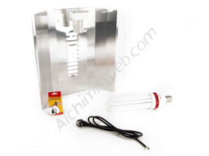 CFL 125w PRO Growing Kit