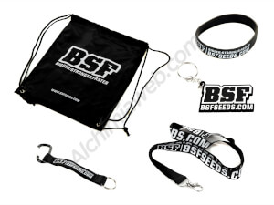 Kit de promoción de BSF