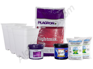 Kit de démarrage extérieur basique - 3 Autofloraisons