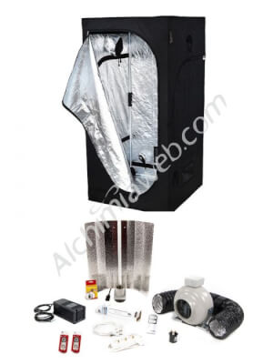 Kit Madres 400W Alchimia Box 100