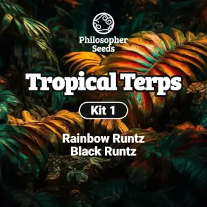 Kit Tropical Terps