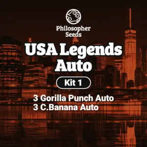 Kit USA Legends Auto