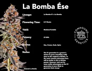 La Bomba Esé