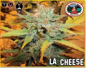 L.A. Cheese
