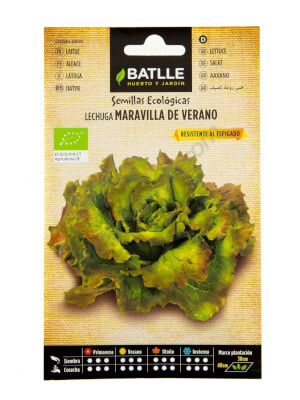 Laitue merveille d'été Bio - Batlle