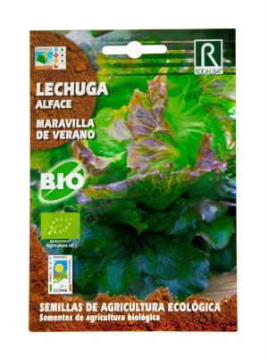 Rocalba Organic Maravilla de Verano Lettuce