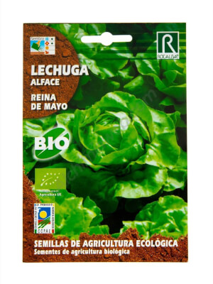 Rocalba Organic Reina de Mayo Lettuce