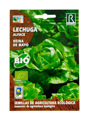 Lechuga Reina de Mayo Bio Rocalba