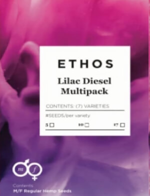 Lilac Diesel Multipack