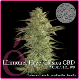 Llimonet Haze CBD