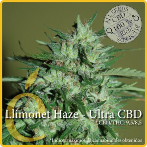 Llimonet Haze Ultra CBD