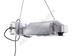 NewLite 630W LEC CMH lighting system