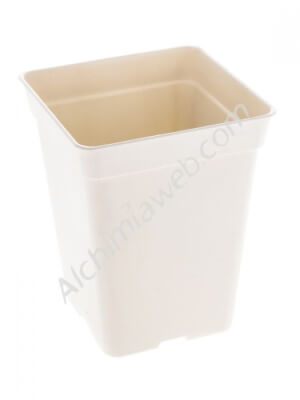 Small Square White Pot