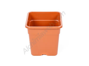 Vega Terracotta Square Pot with Saucer