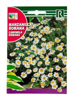 Rocalba Roman Camomile